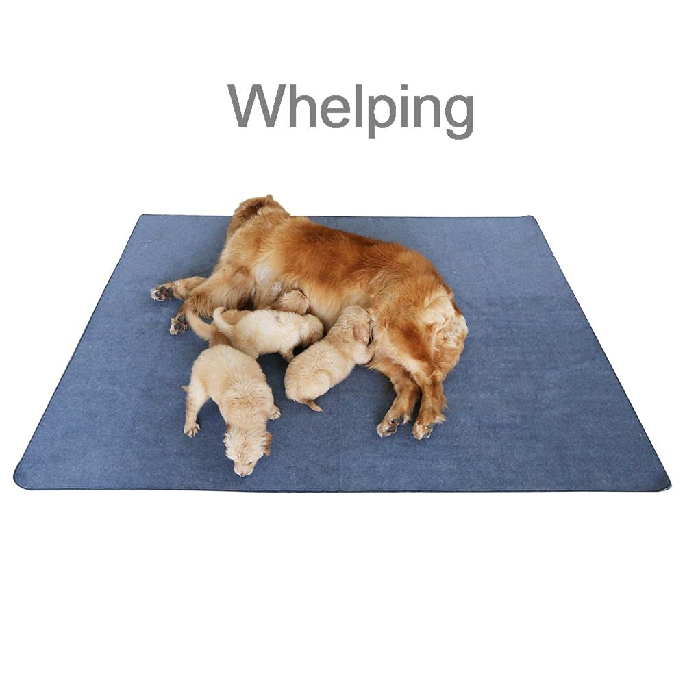 Non-Slip Washable Waterproof Dog Pad 72"x72" G221