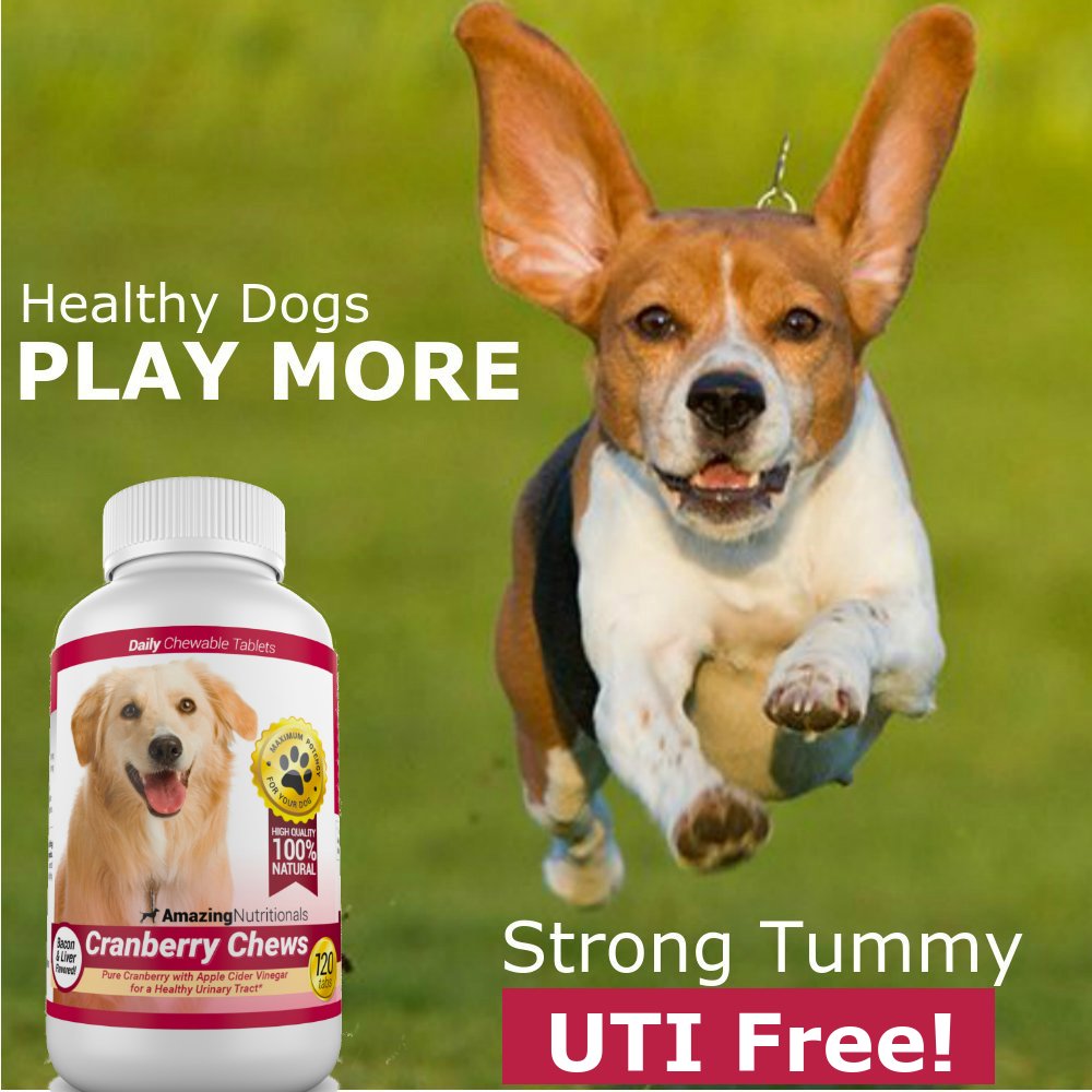 120 Cranberry Chews with Apple Cider Vinegar Bacon Flavor Dog Supplement Y173688