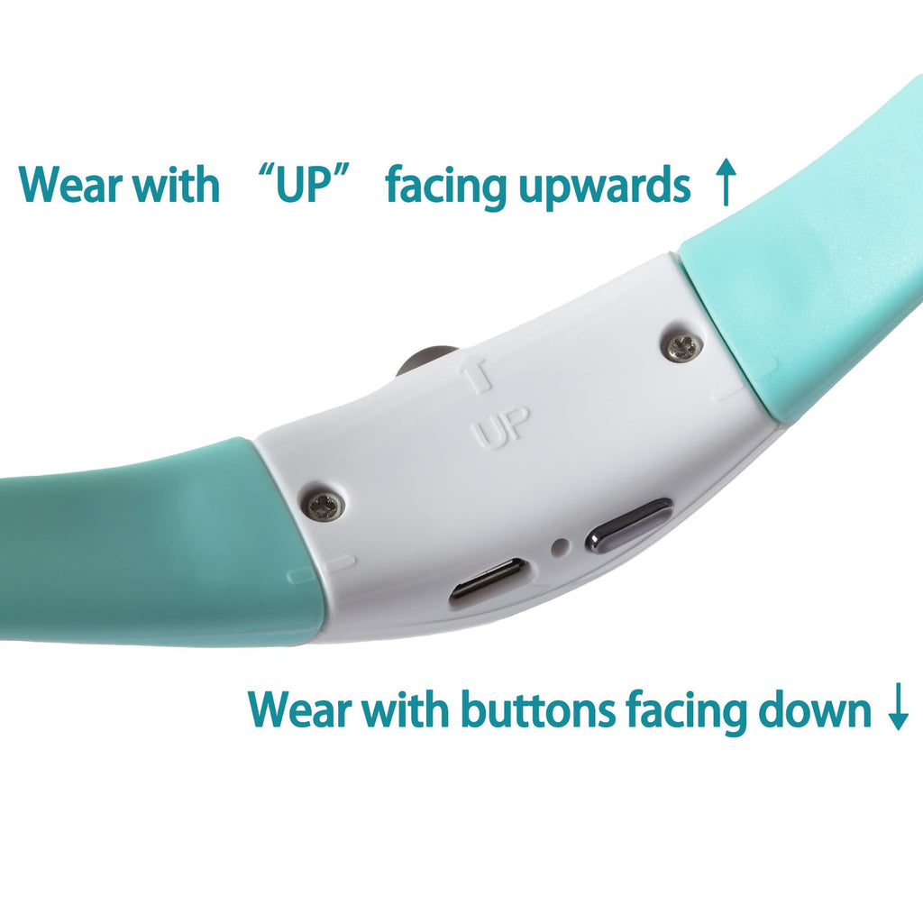 Rechargeable Laser Cat Toy Collar Y6815