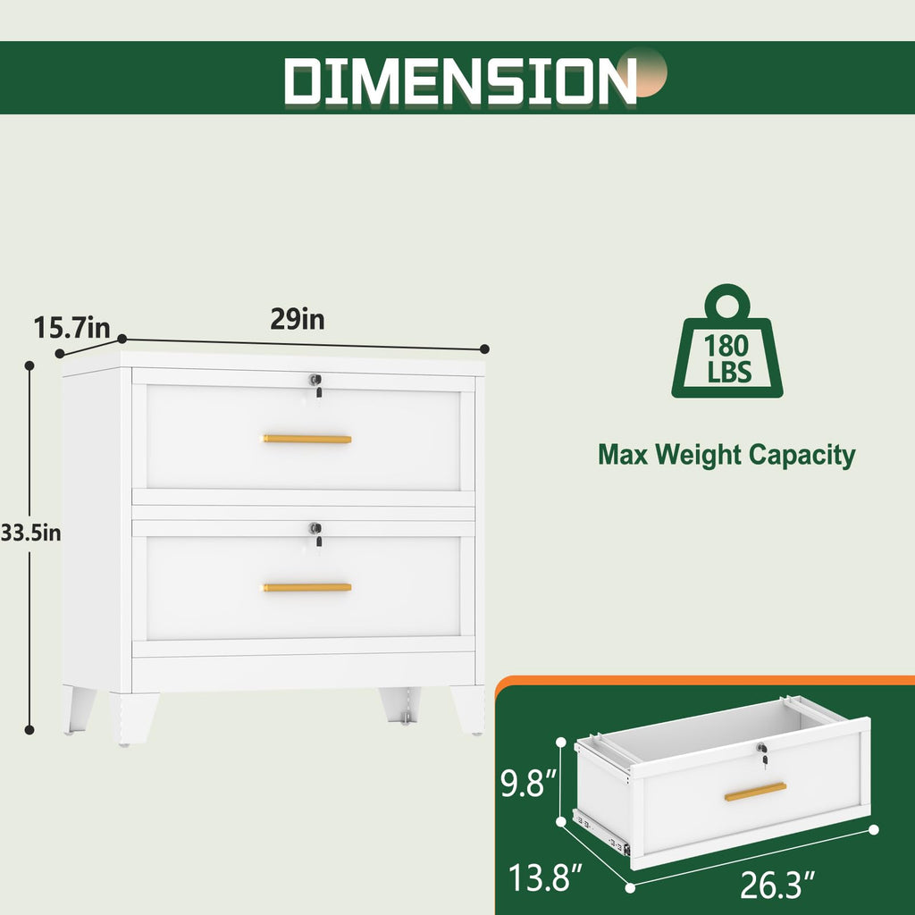 2 Drawer Metal File Cabinet with Lock R512324