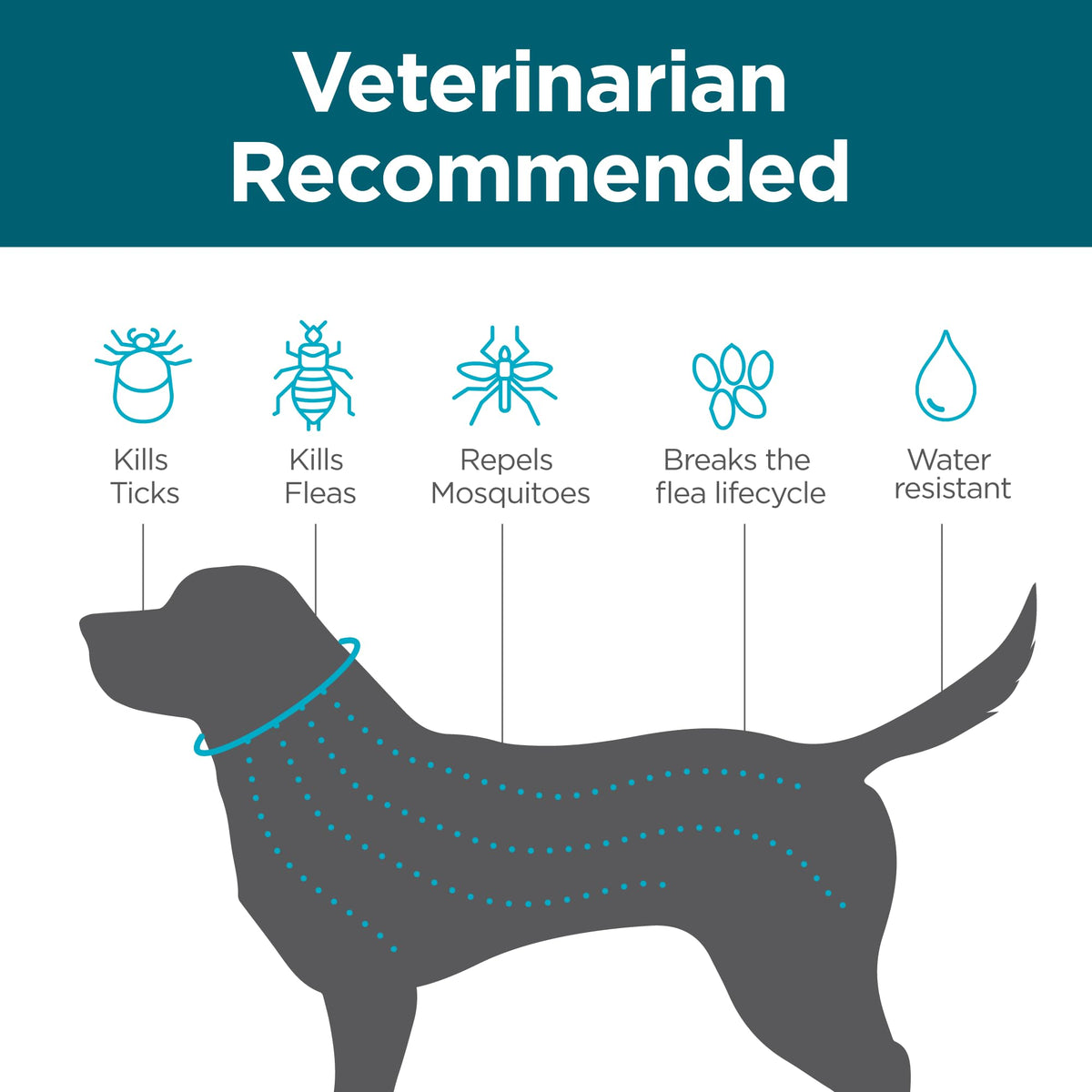 Flea and Tick Collar for Small Dogs D4690