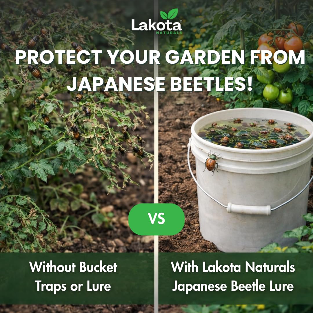 Japanese Beetle Traps Outdoor Killer Lure & Kill Concentrate O60926