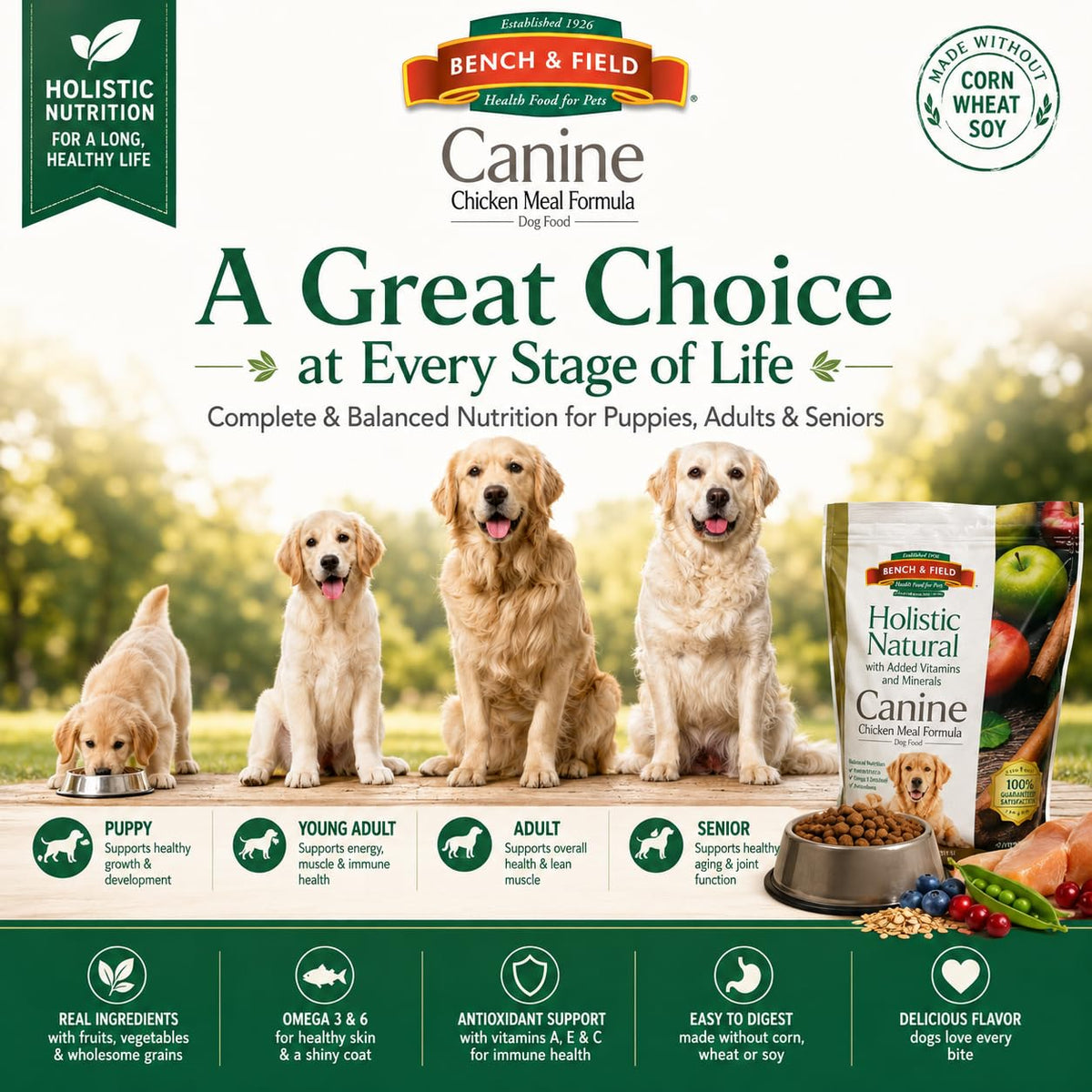 Chicken Meal & Brown Rice Dry Dog Food 6.6 lb G6200