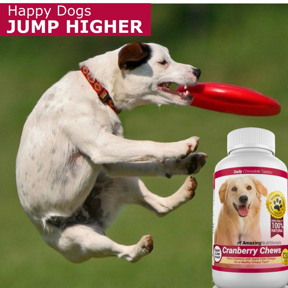 120 Cranberry Chews with Apple Cider Vinegar Bacon Flavor Dog Supplement Y173688