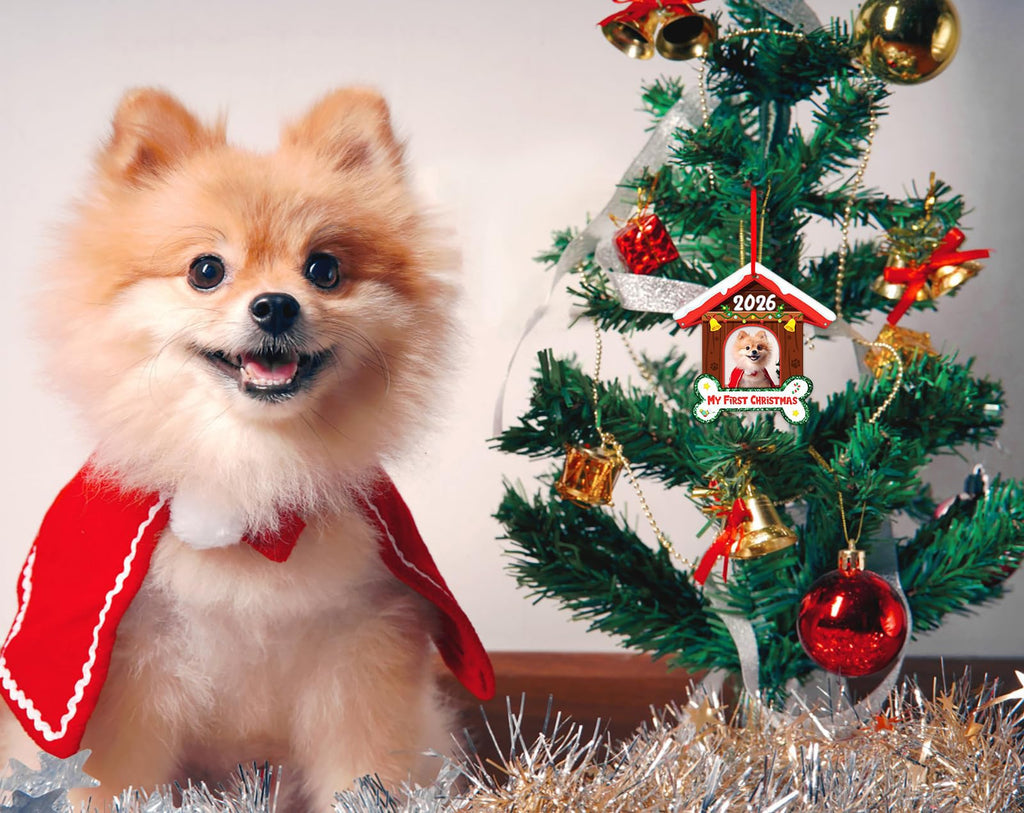 Dog Picture Frame Ornament M7891