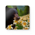 Set of 4 Coasters S478537