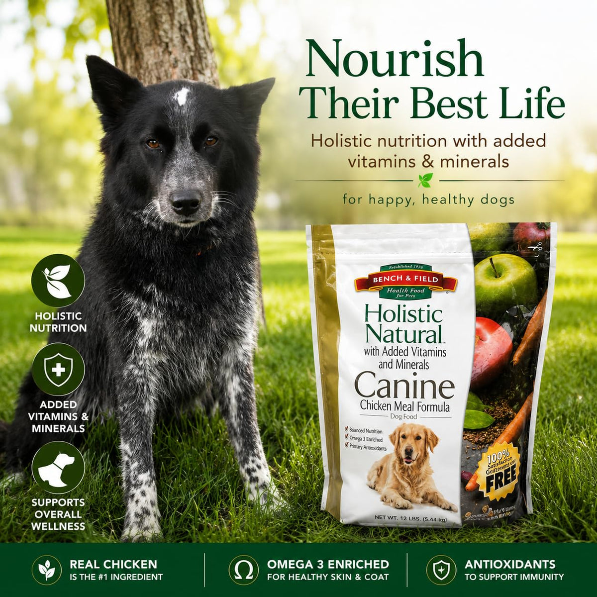 Chicken Meal & Brown Rice Dry Dog Food 6.6 lb G6200