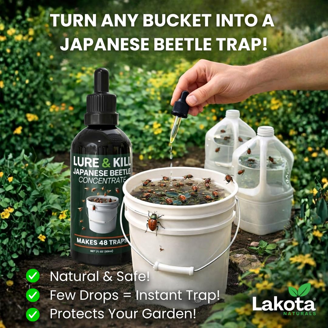 Japanese Beetle Traps Outdoor Killer Lure & Kill Concentrate O60926