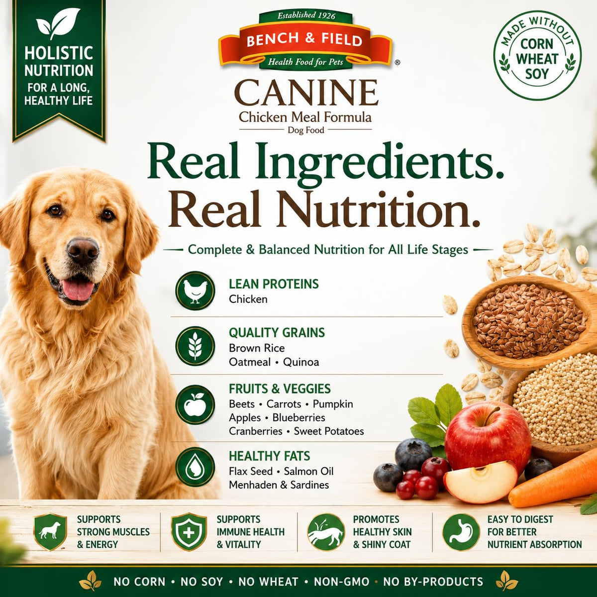 Chicken Meal & Brown Rice Dry Dog Food 6.6 lb G6200