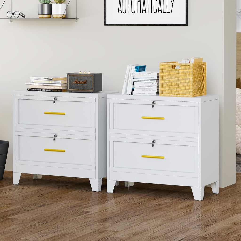 2 Drawer Metal File Cabinet with Lock R512324