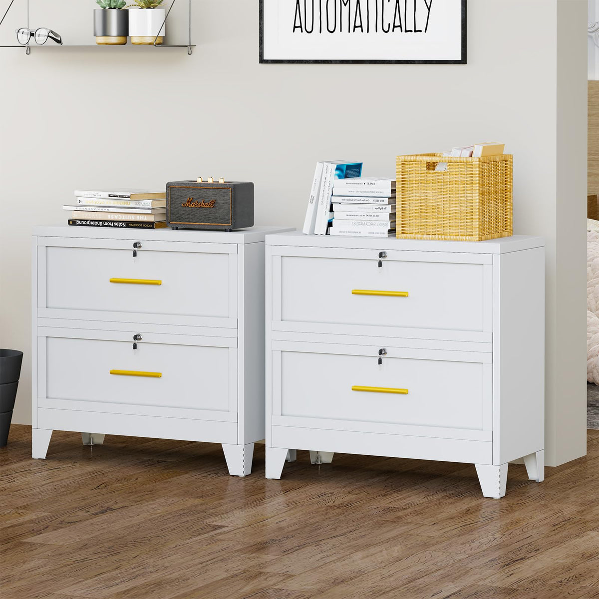 2 Drawer Metal File Cabinet with Lock R512324