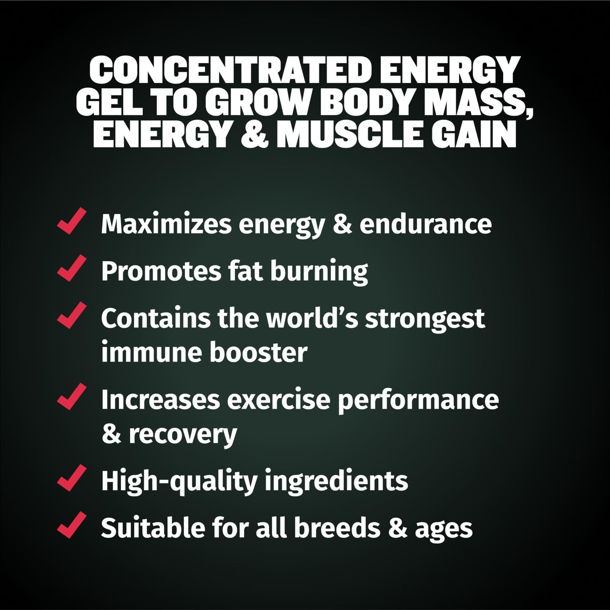 Liquid Muscle Builder & Weight Gainer Soft Chews A2704