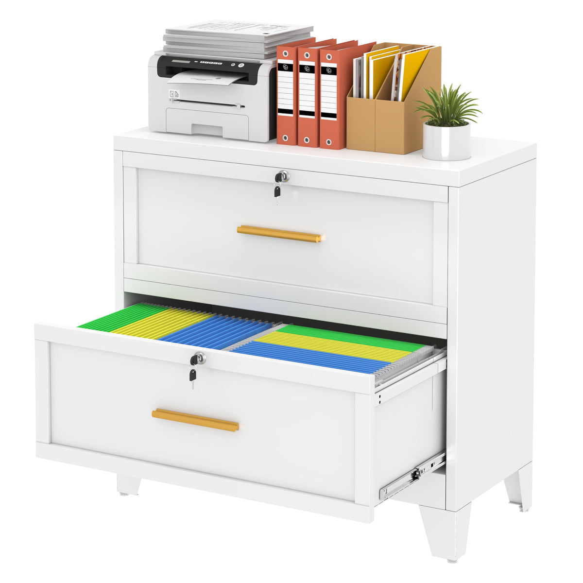 2 Drawer Metal File Cabinet with Lock R512324