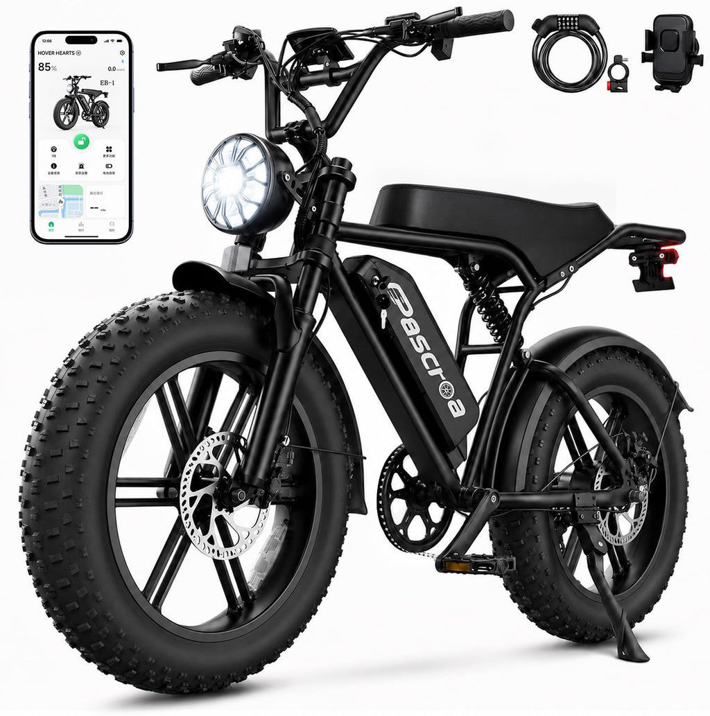 1500W Peak 20" Fat Tire Electric Bike Q709649