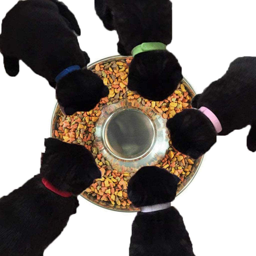 Stainless Steel Puppy Weaning Bowls X5931