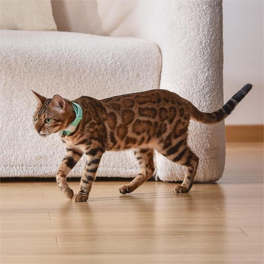 Rechargeable Laser Cat Toy Collar Y6815