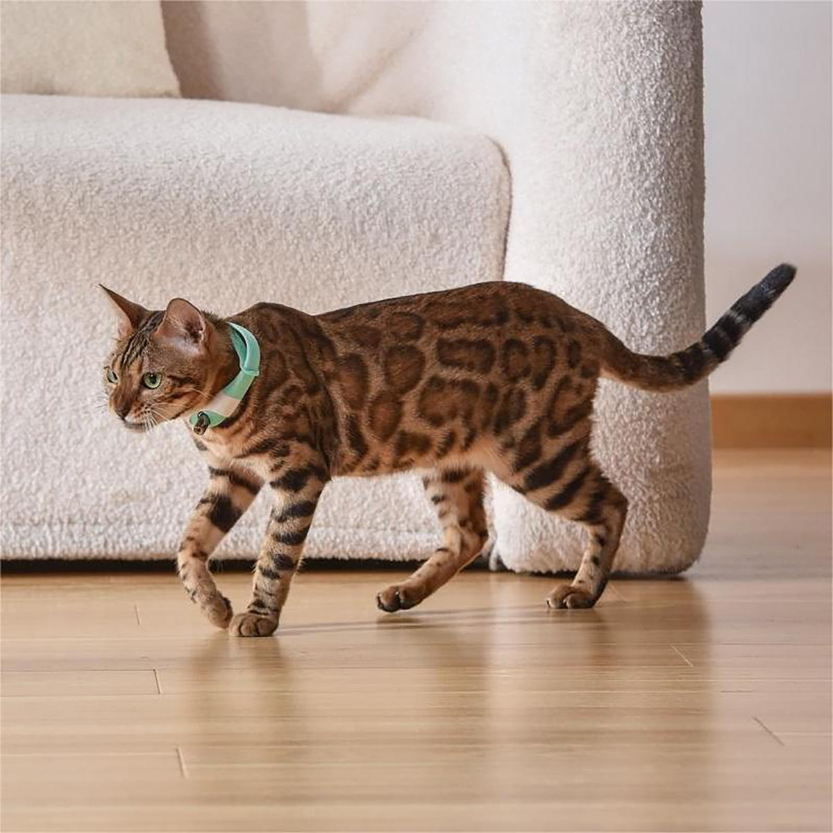 Rechargeable Laser Cat Toy Collar Y6815