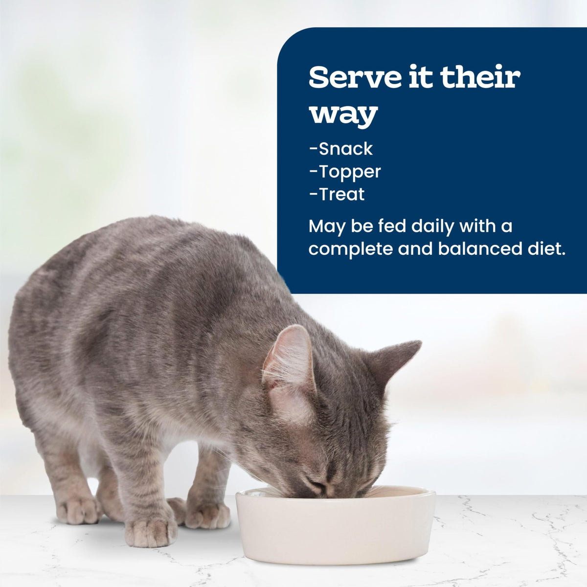 Cat Food Topper, 3 Ounce (Pack of 24) K787469