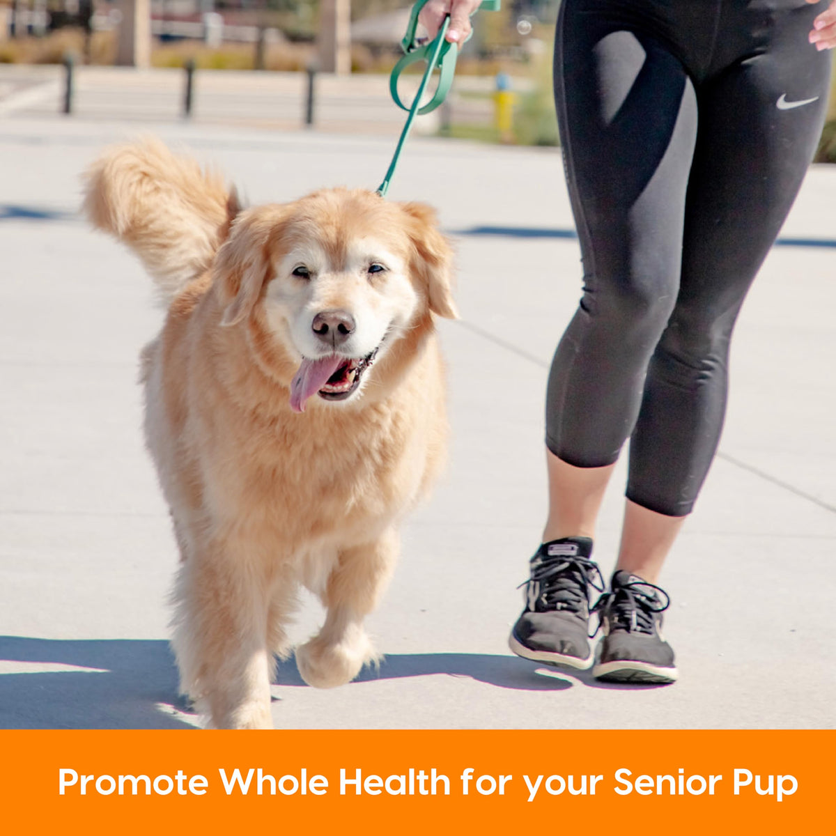 Senior Dogs Soft Chews 90 ct B696