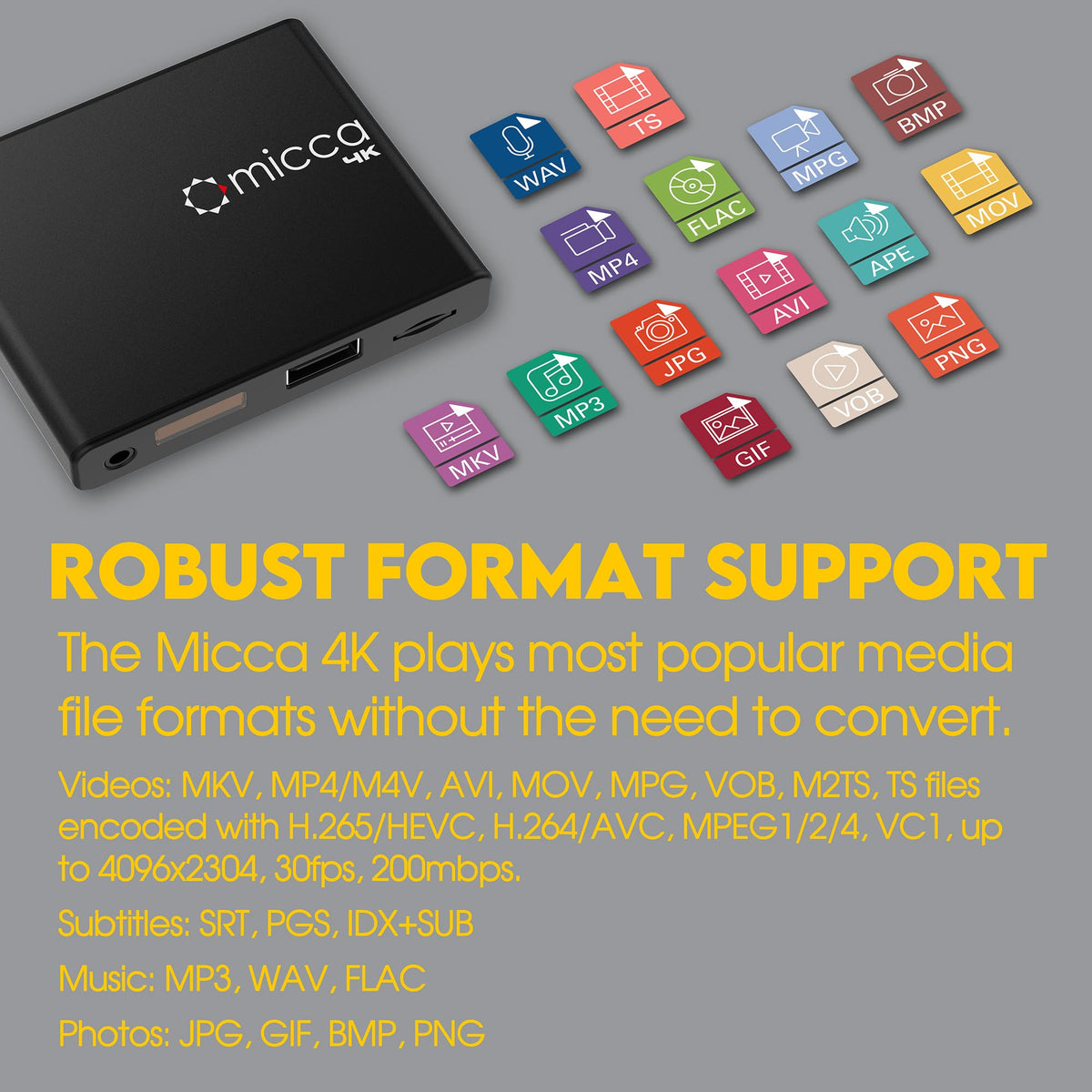 4K Ultra-HD USB and microSD Media Player U209