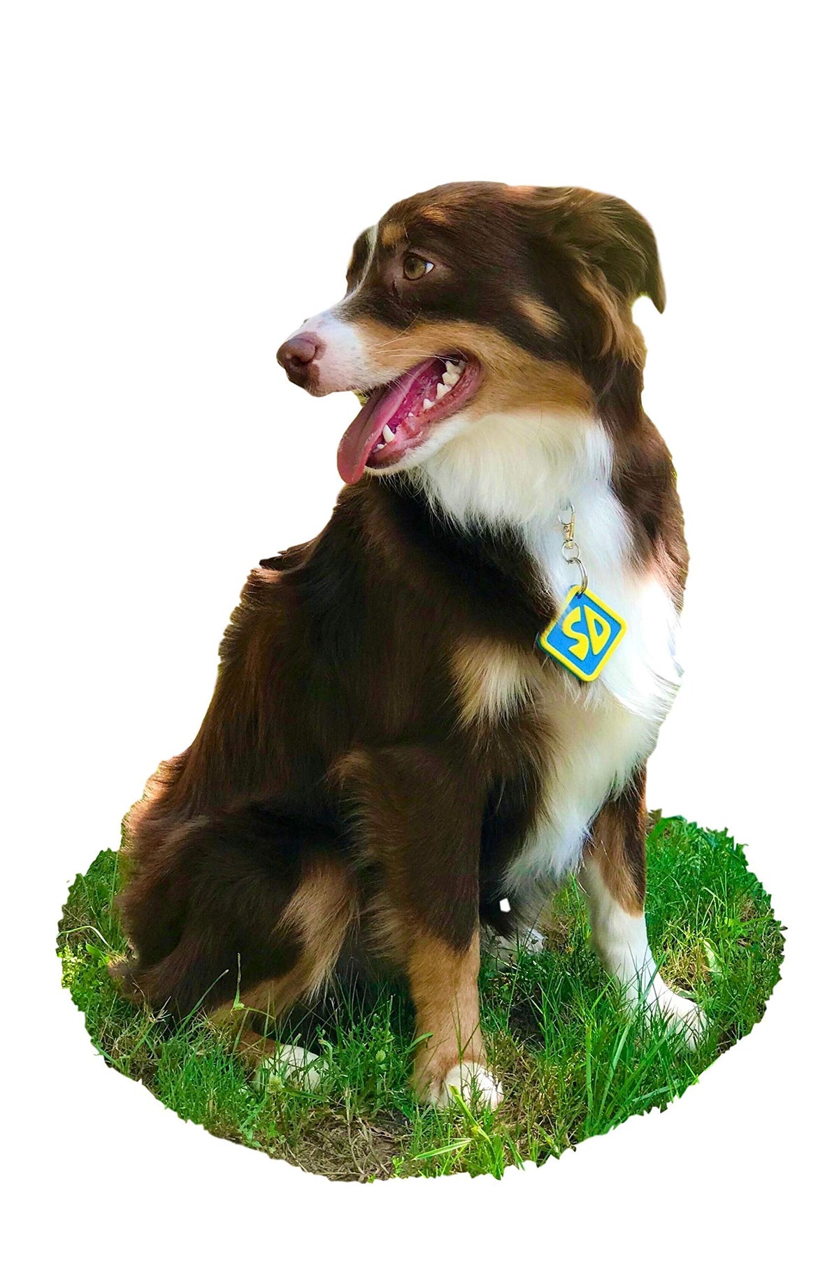 Dog Halloween Costume Collar Tag A854