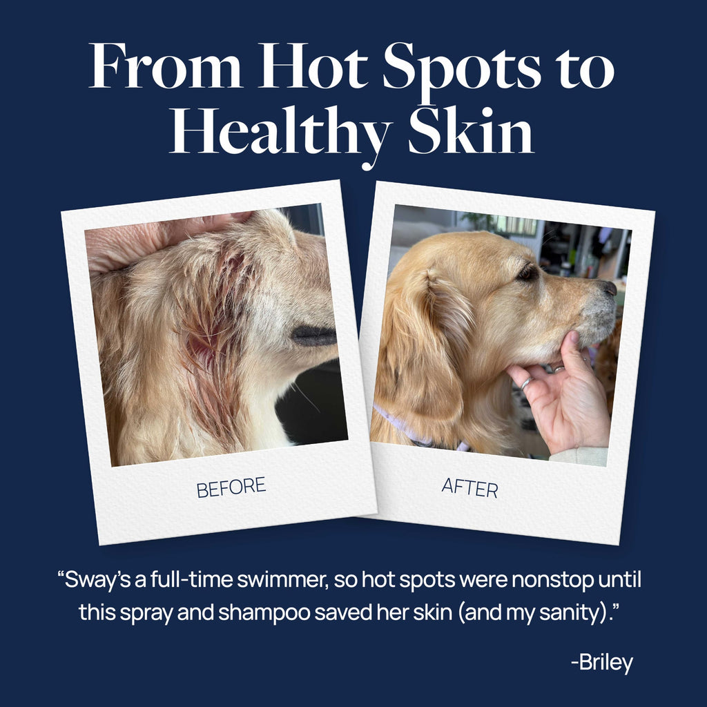 Hot Spot & Itch Relief Pet Shampoo, 16 oz X7370