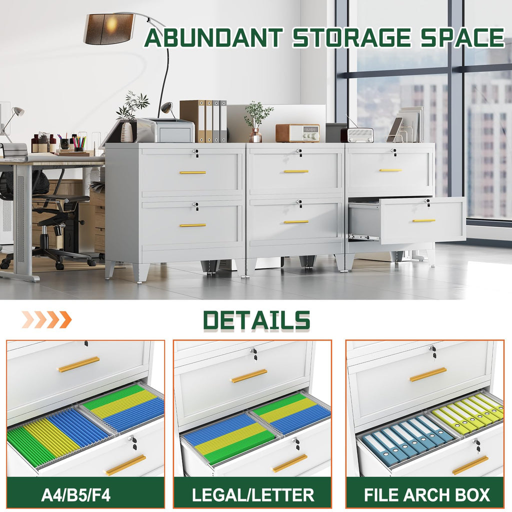 2 Drawer Metal File Cabinet with Lock R512324