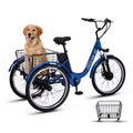 3 Wheel Electric Bike M4872