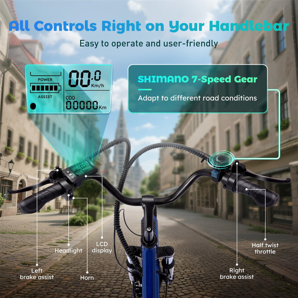 3 Wheel Electric Bike M4872