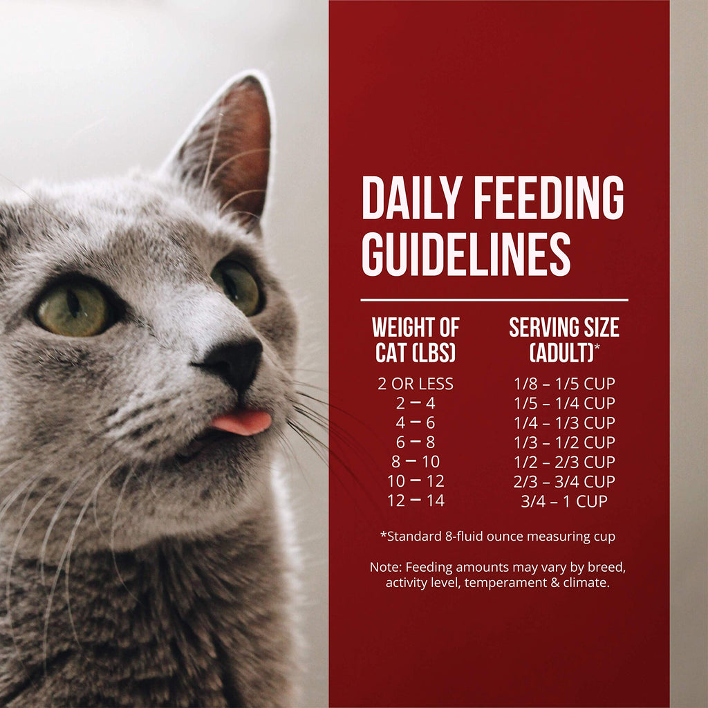 Chicken & Turkey Meal Grain-Free Dry Cat Food 4lb S47055