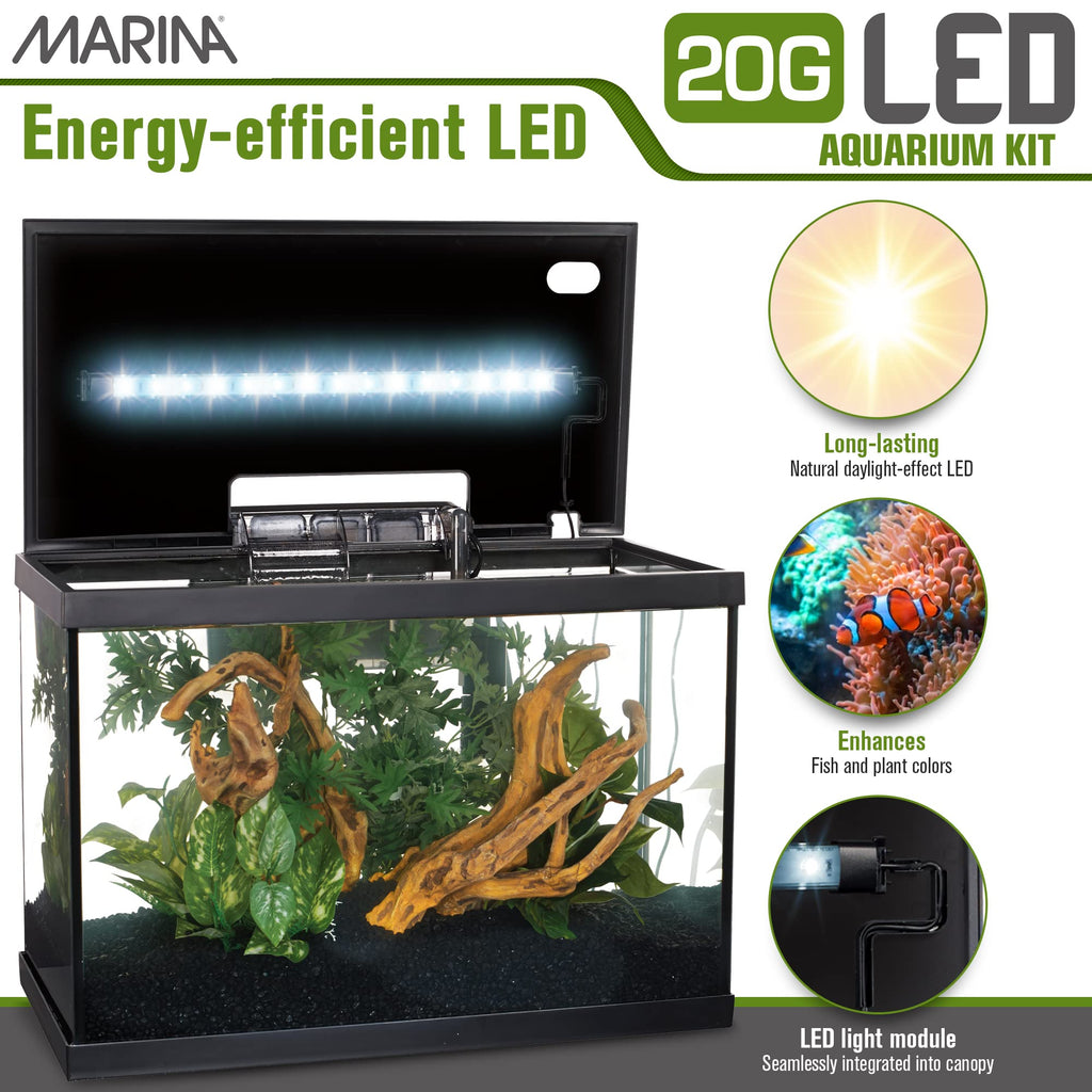 20 Gallon LED Aquarium Kit with Filter E1067