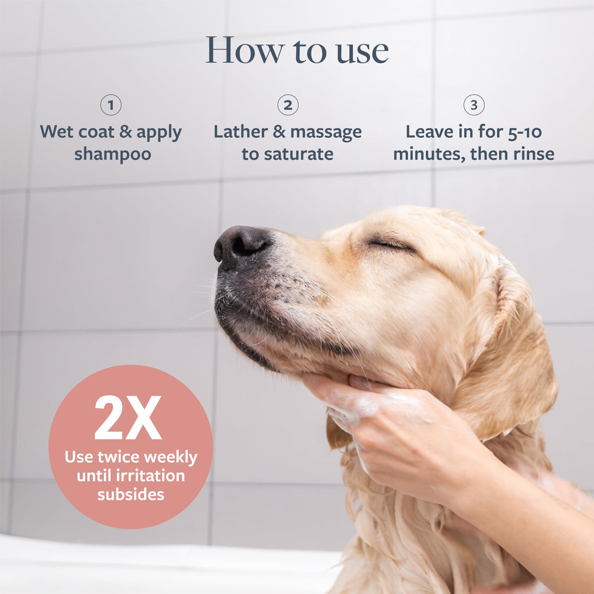 Hot Spot & Itch Relief Pet Shampoo, 16 oz X7370