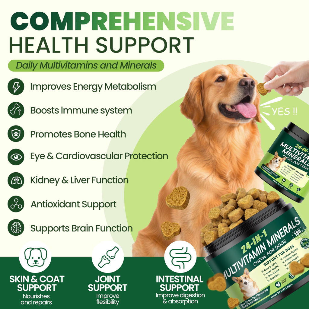 Dog Multivitamin Chewable Z52221