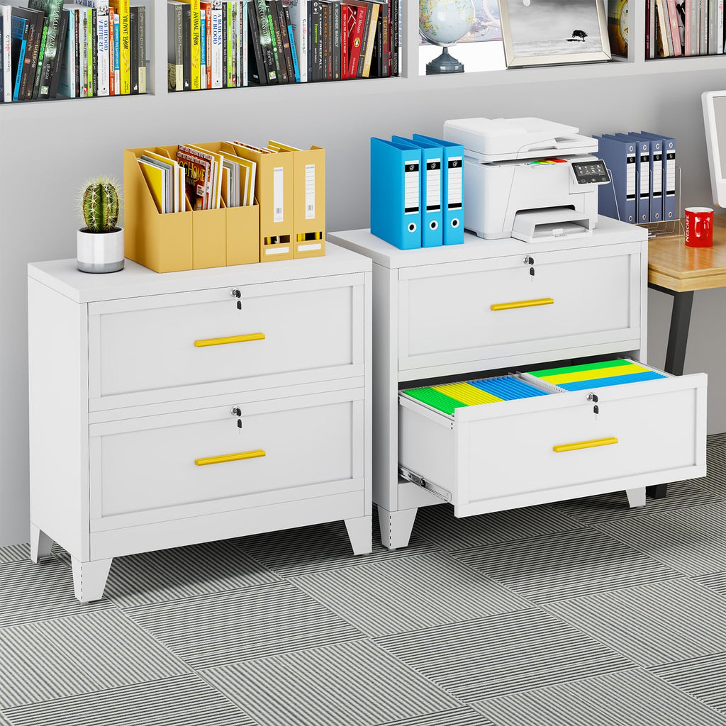 2 Drawer Metal File Cabinet with Lock R512324