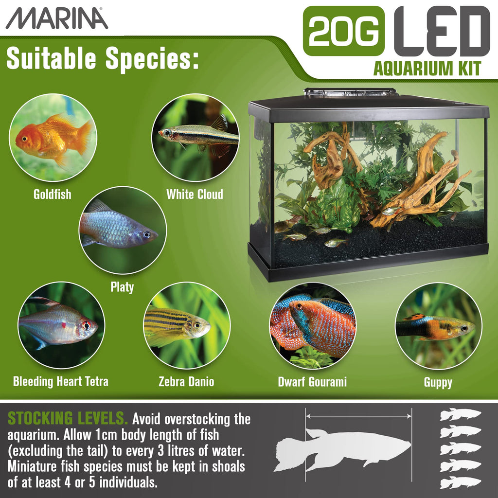 20 Gallon LED Aquarium Kit with Filter E1067