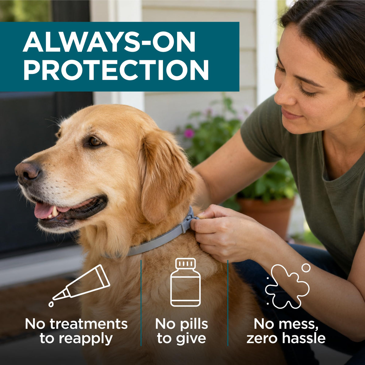 Flea and Tick Collar for Small Dogs D4690