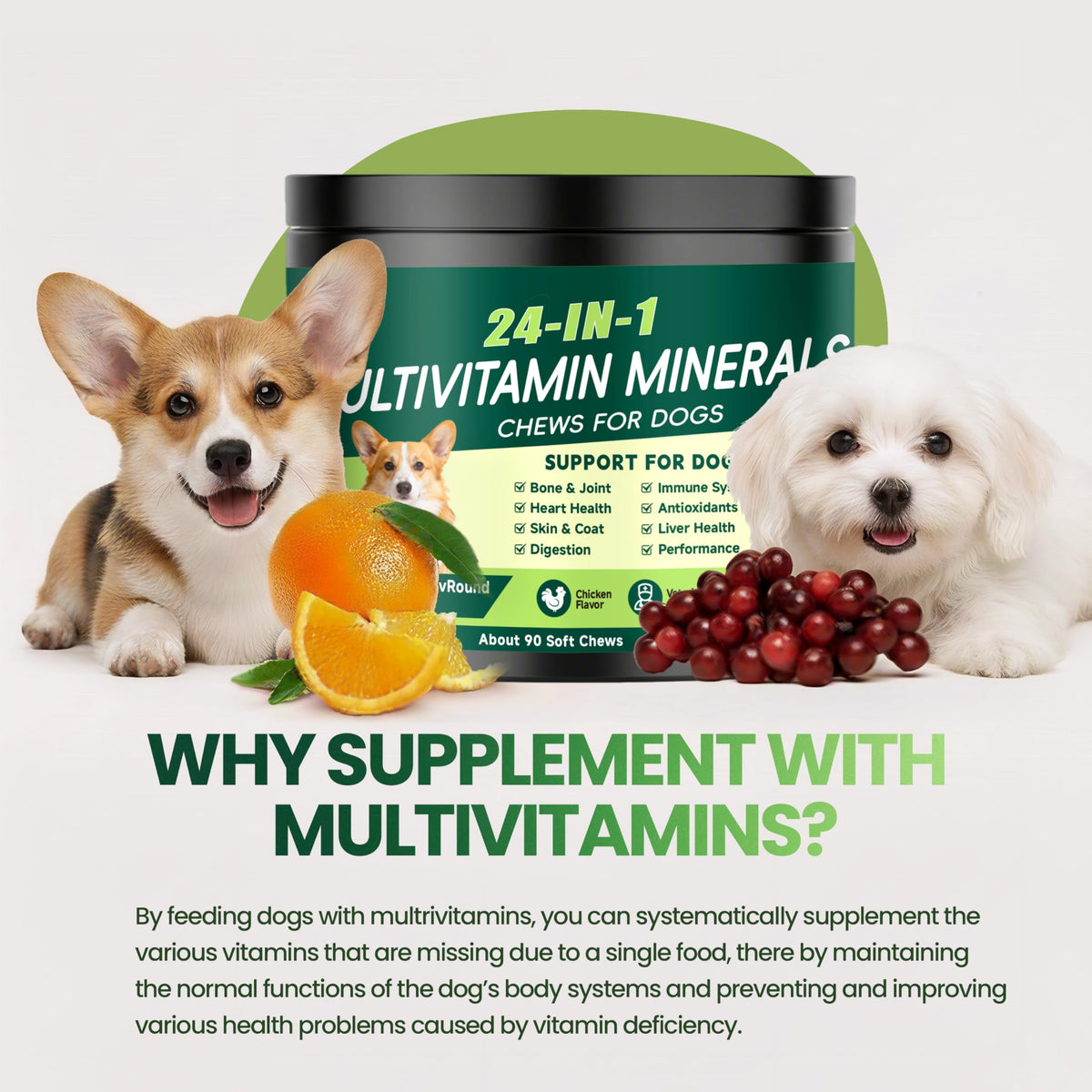 Dog Multivitamin Chewable Z52221