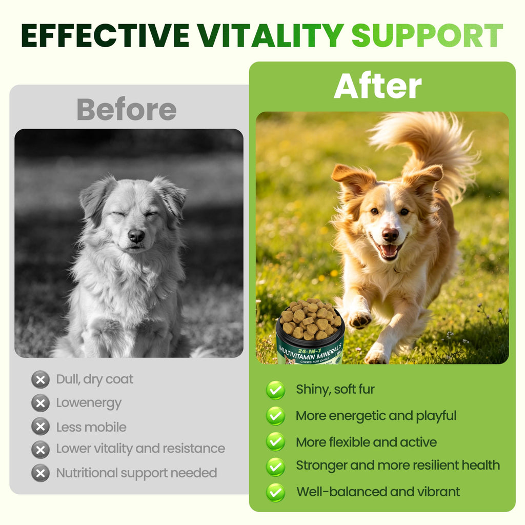 Dog Multivitamin Chewable Z52221