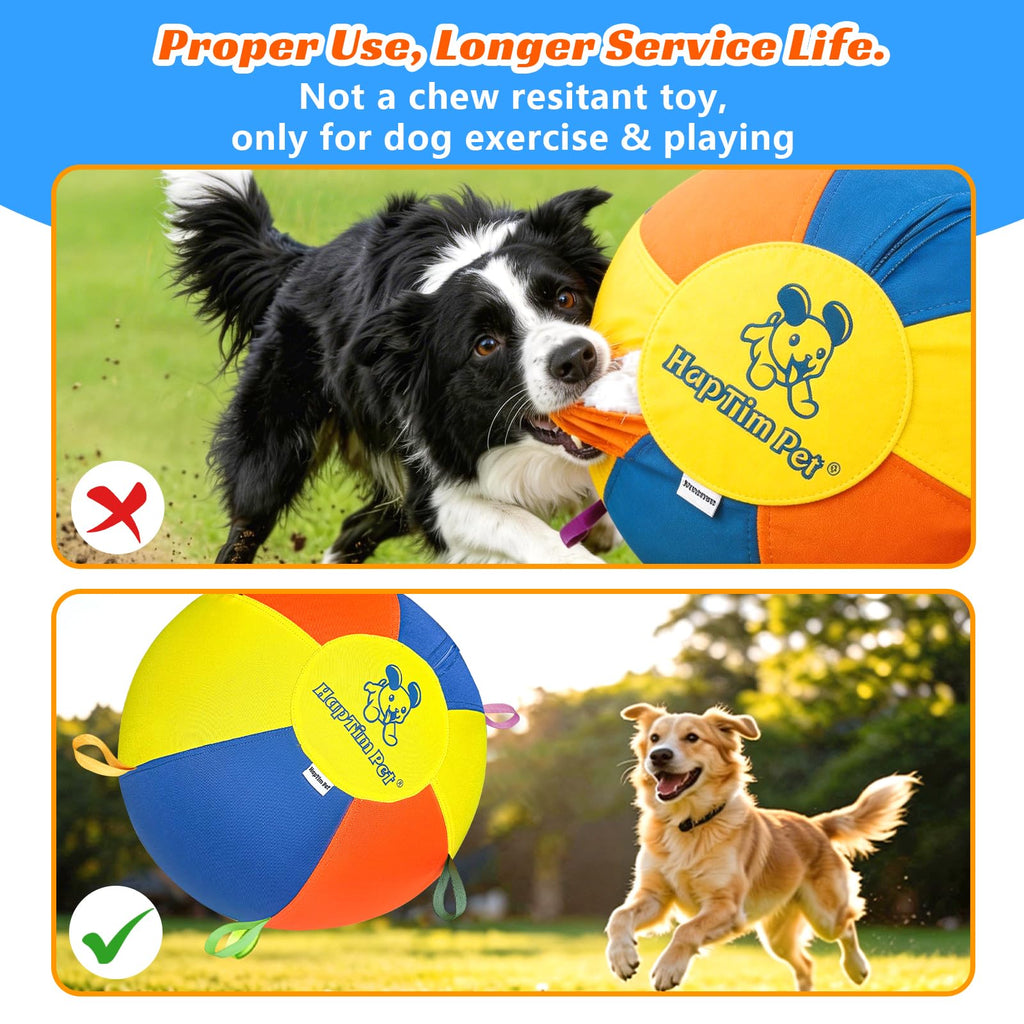 22" Heavy Duty Herding Ball for Dogs O5219