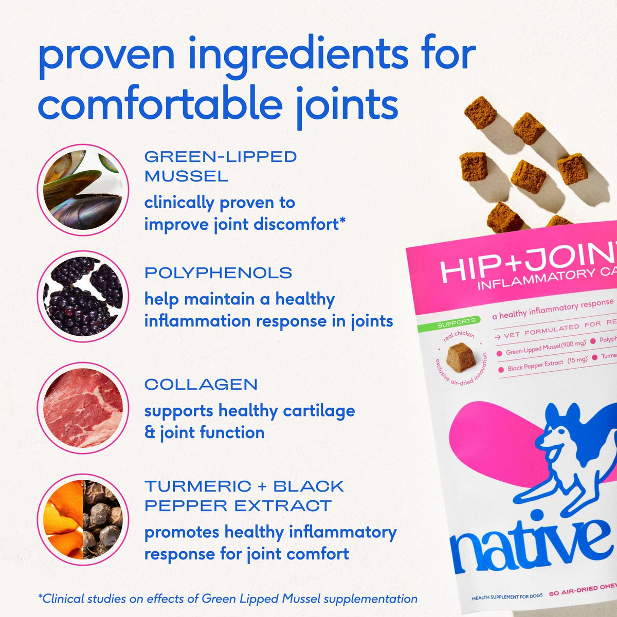 Green-Lipped Mussel Turmeric Collagen Hip and Joint Supplement for Dogs 120 Chews B357