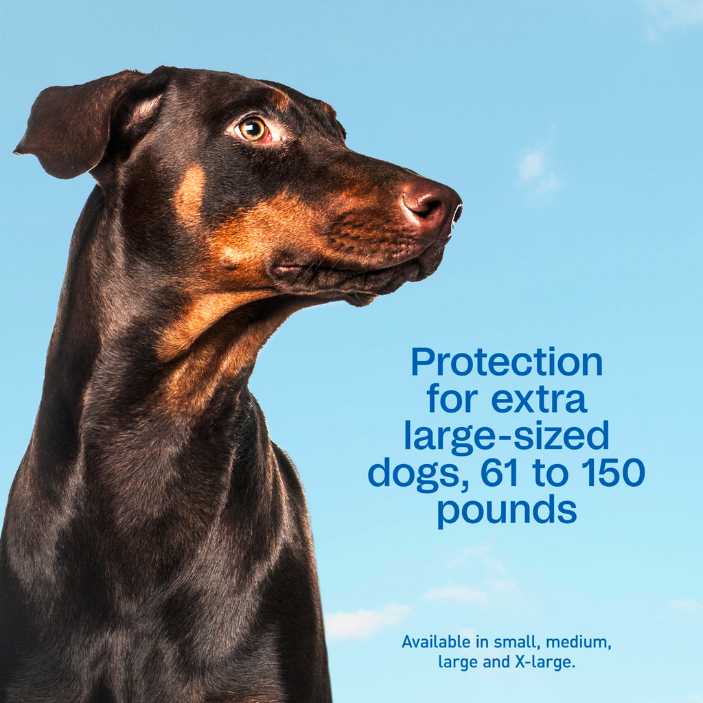Flea & Tick Prevention Spot On 3 Pack K9750