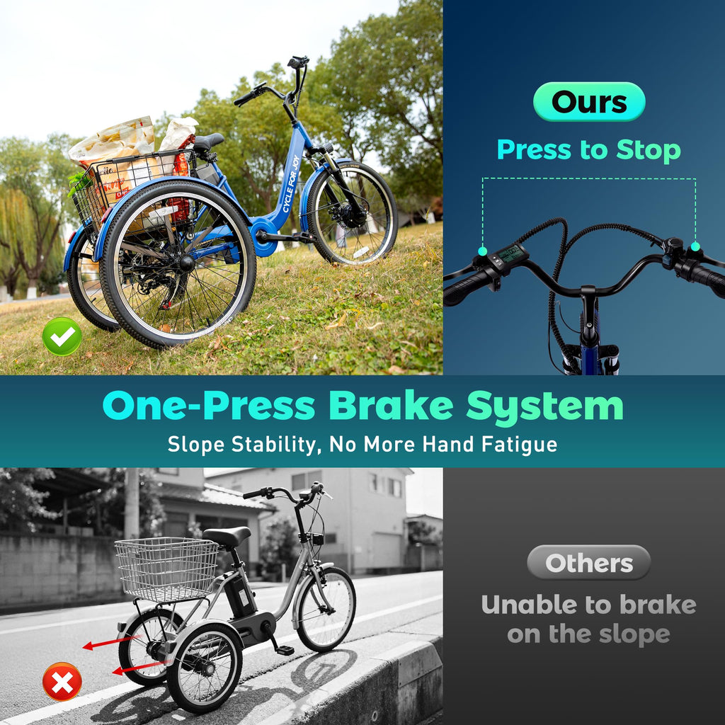 3 Wheel Electric Bike M4872