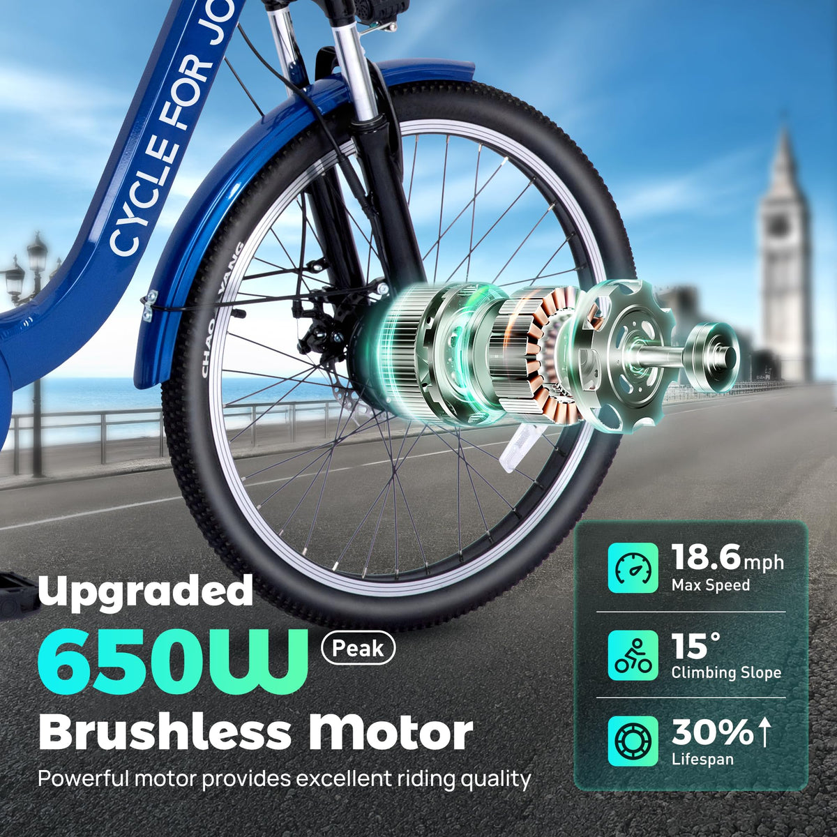 3 Wheel Electric Bike M4872