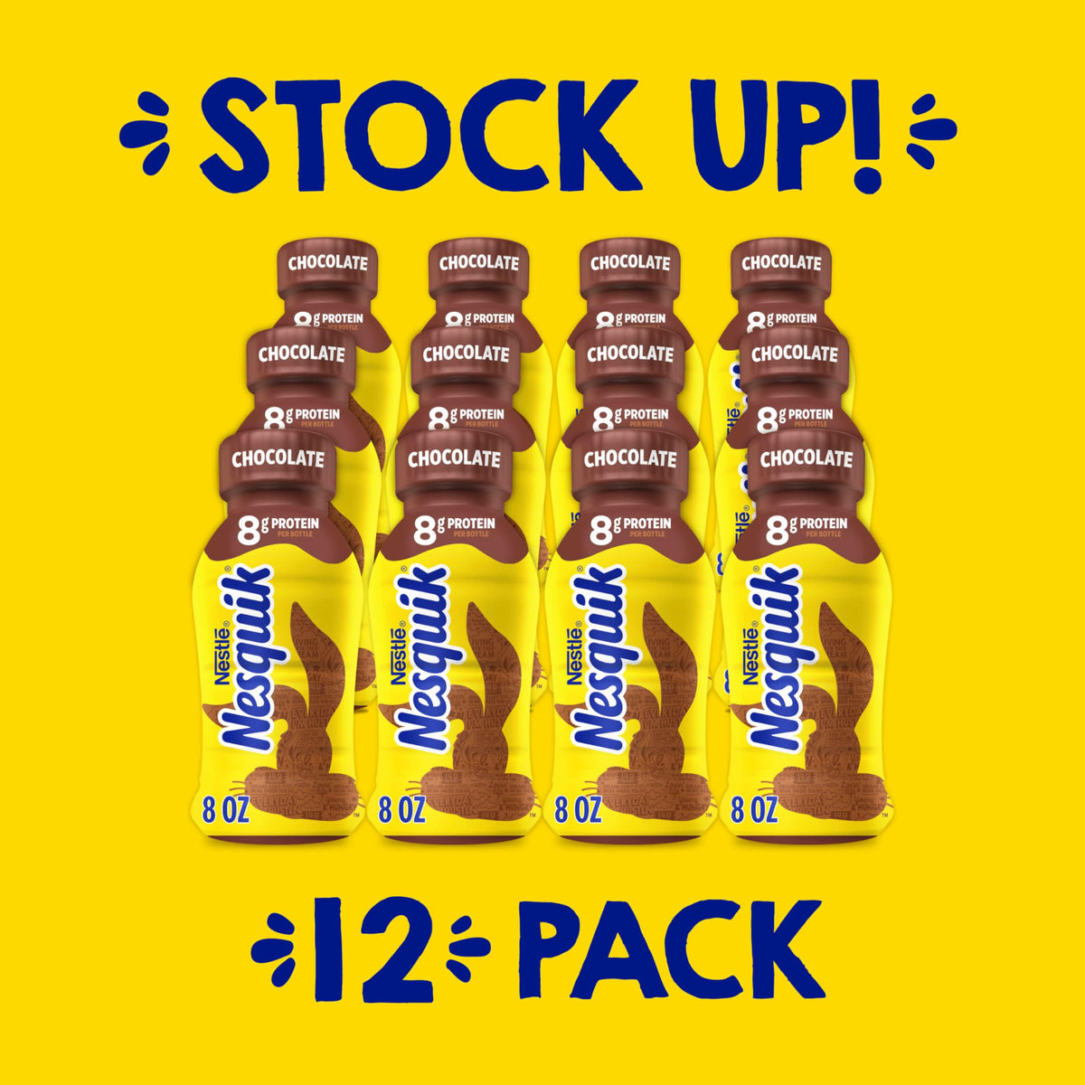 Lowfat Chocolate Milk 8 Fl Oz 12 Pack N405