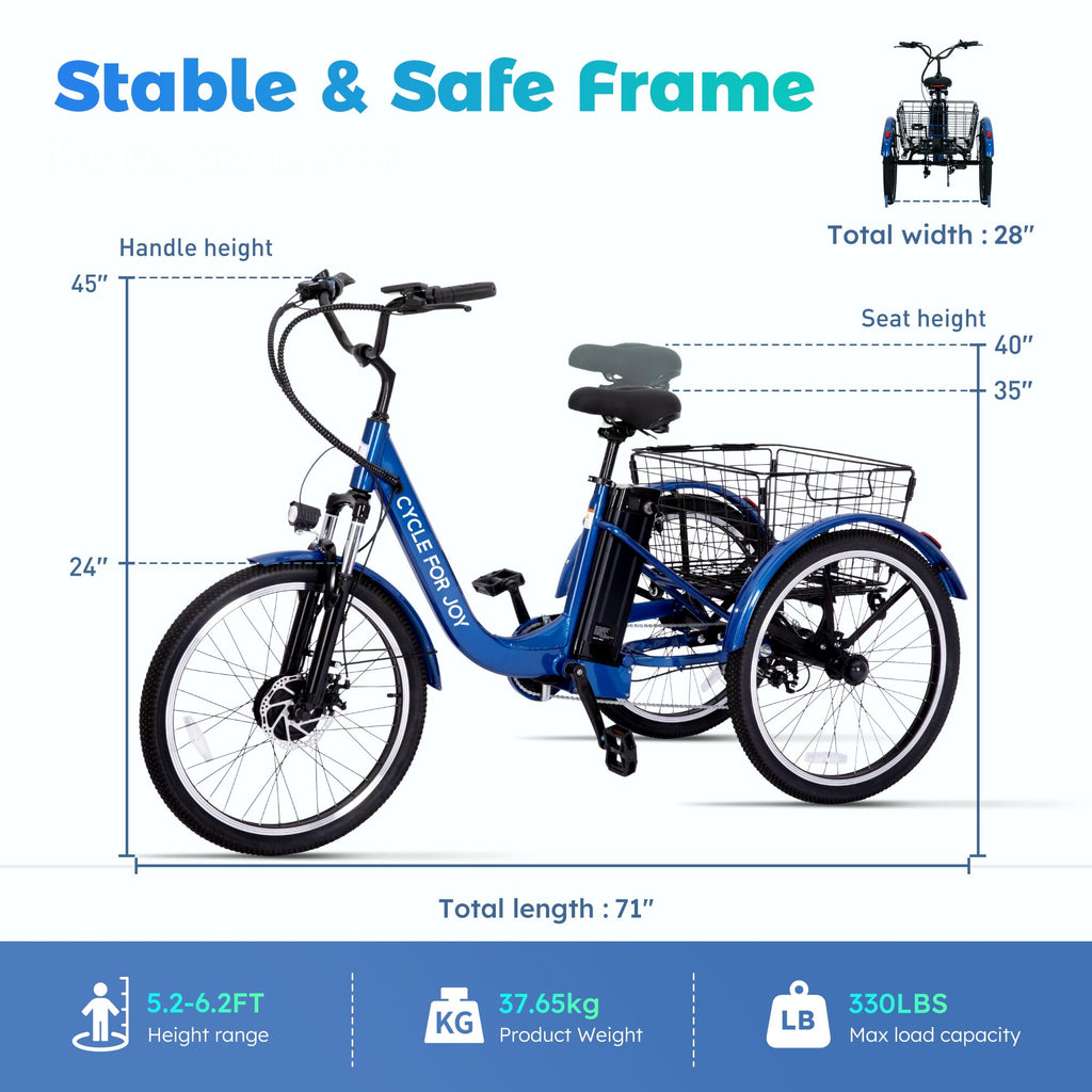 3 Wheel Electric Bike M4872