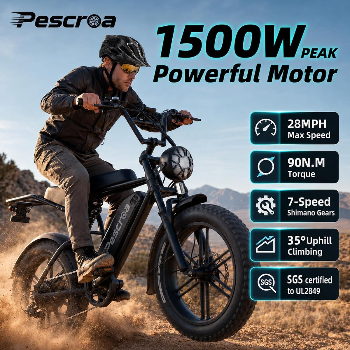 1500W Peak 20" Fat Tire Electric Bike Q709649