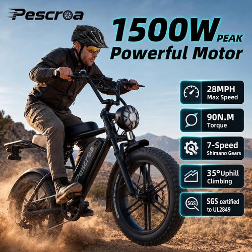 1500W Peak 20" Fat Tire Electric Bike Q709649