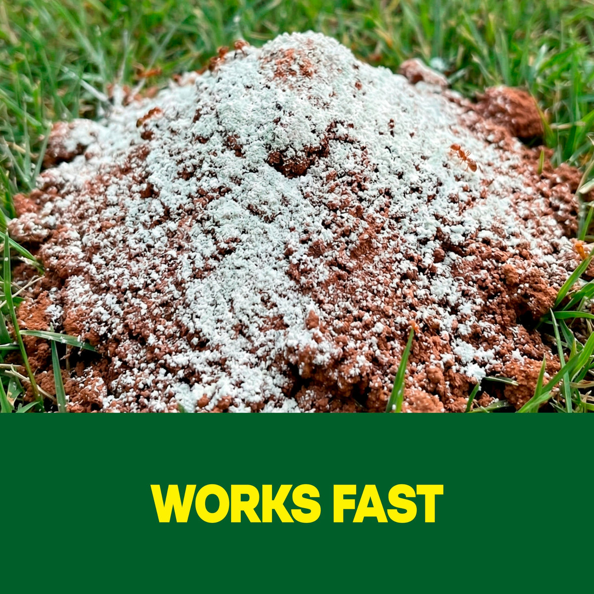 Outdoor Fire Ant Killer Dust 24 oz M218
