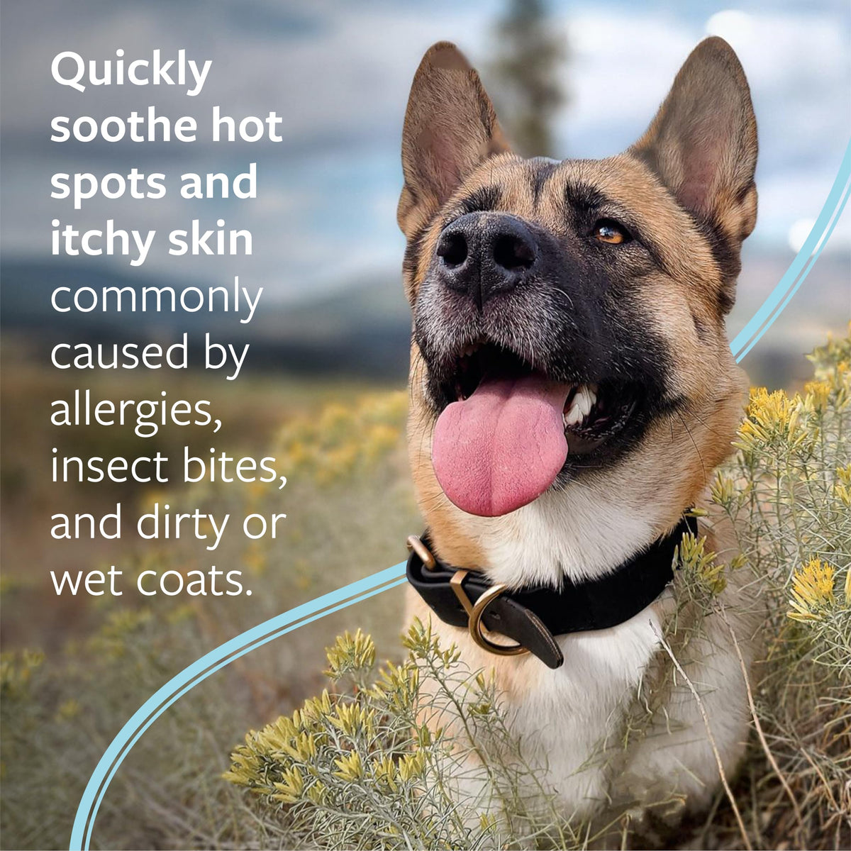 Hot Spot & Itch Relief Pet Shampoo, 16 oz X7370