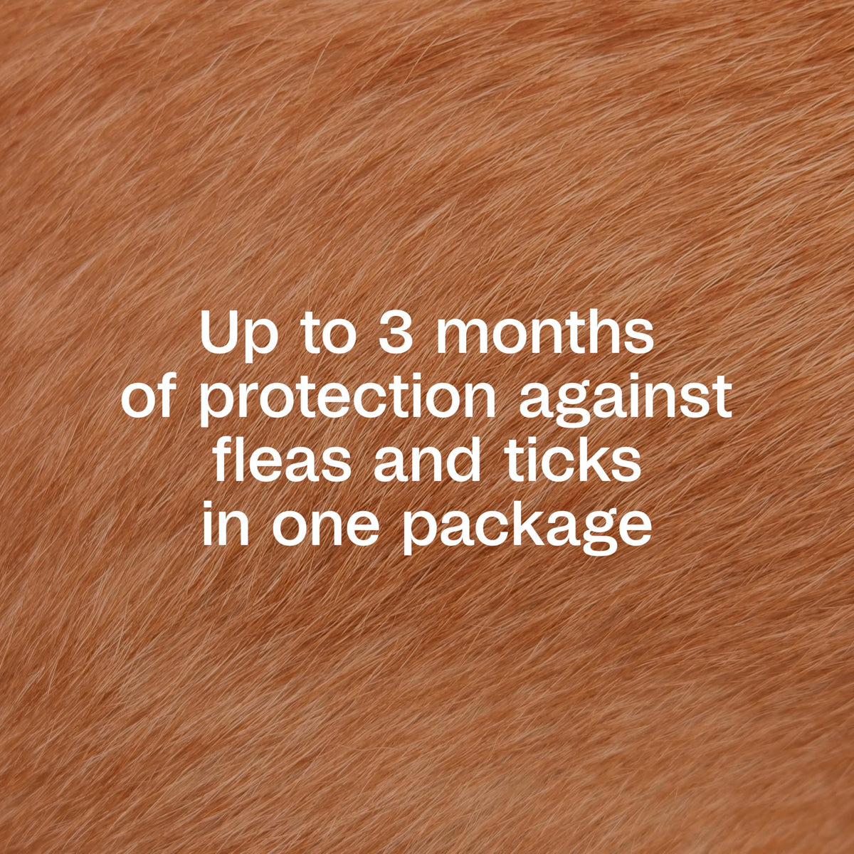 Flea & Tick Prevention Spot On 3 Pack K9750